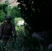 Security patrol in Fulad