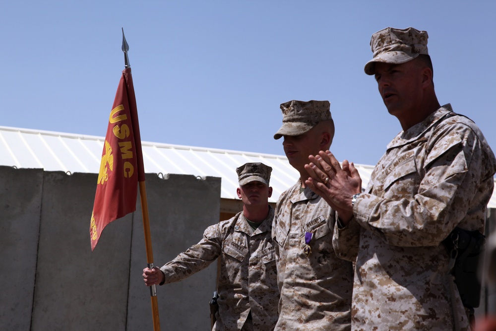 Combat Camera Marine awarded the Purple Heart