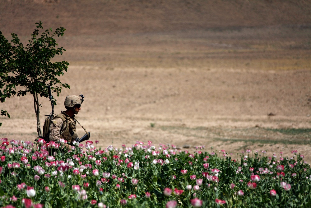 Security patrol in Gorazan Valley