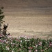 Security patrol in Gorazan Valley