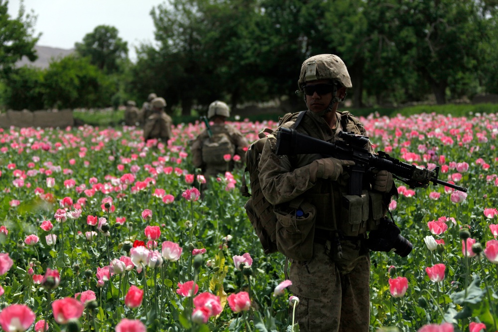 Security patrol in Gorazan Valley