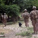 Operation Ox Bow