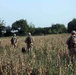 Operation Ox Bow