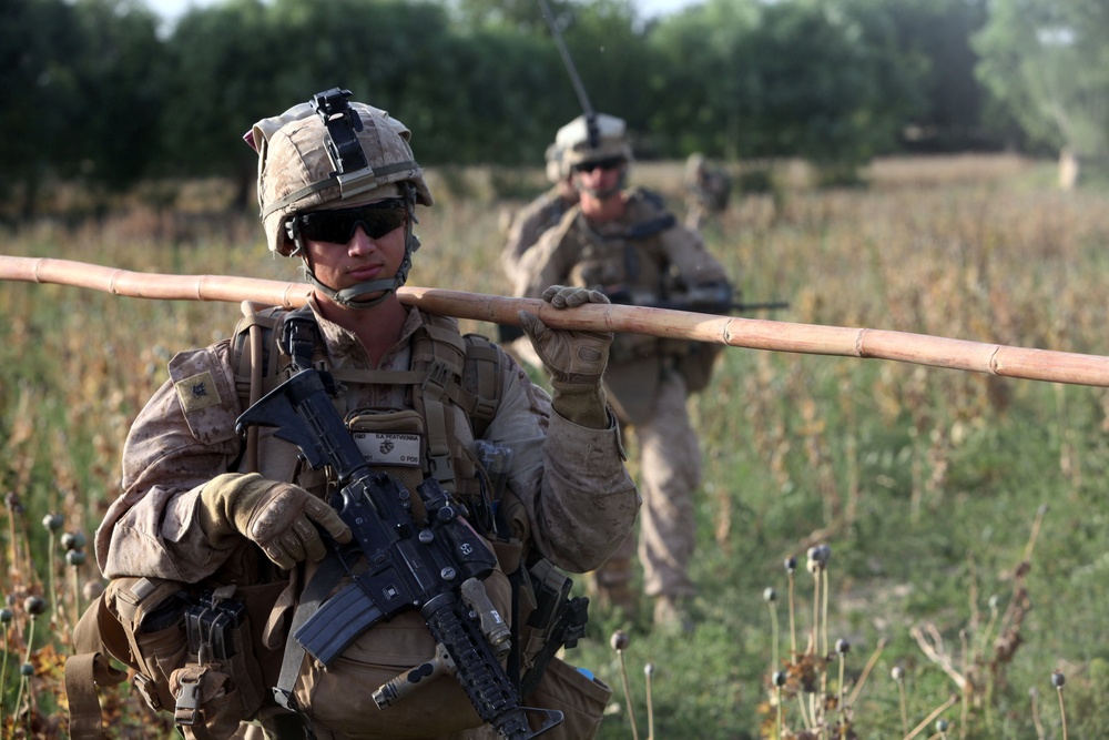 Operation Ox Bow