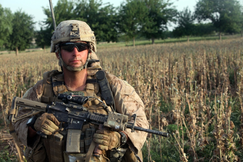 Operation Ox Bow
