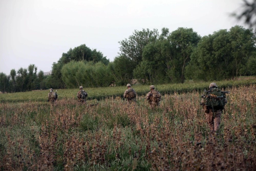 Operation Ox Bow