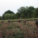 Operation Ox Bow
