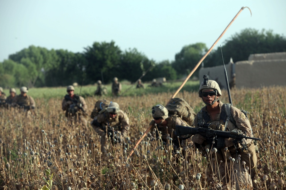 Operation Ox Bow
