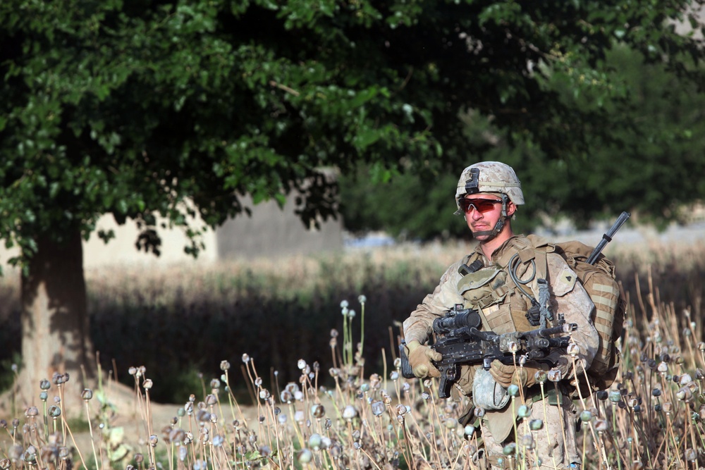 Operation Ox Bow