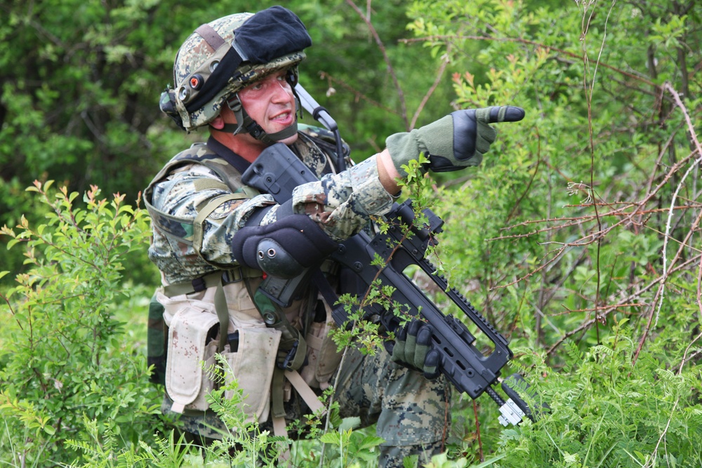 Immediate Response 2012