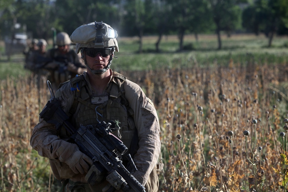 Operation Ox Bow