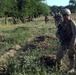 Operation Ox Bow