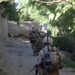 Operation Ox Bow