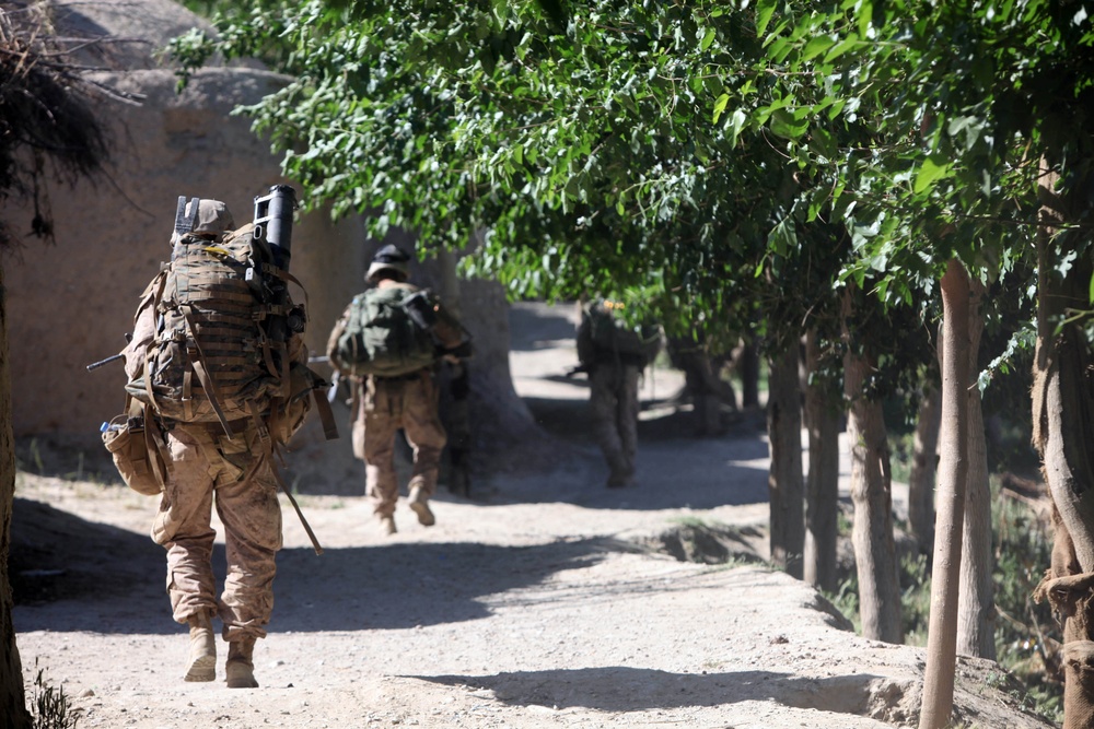 Operation Ox Bow