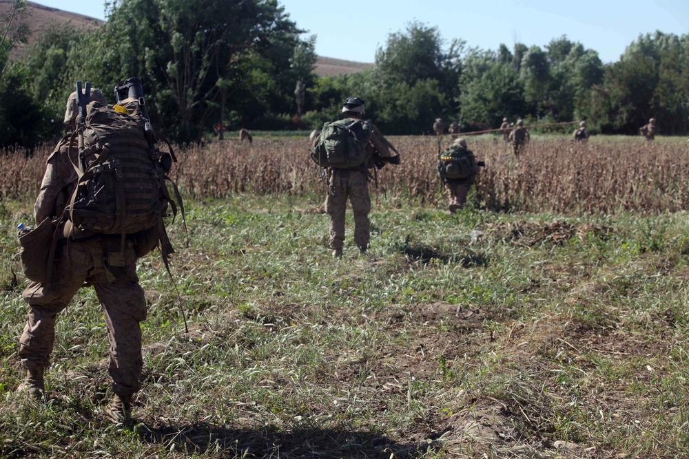 Operation Ox Bow