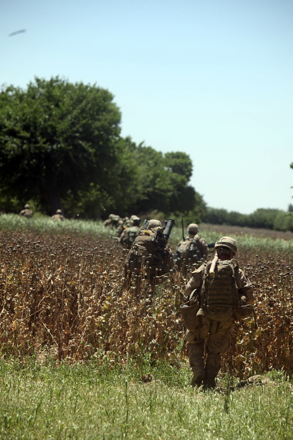 Operation Ox Bow