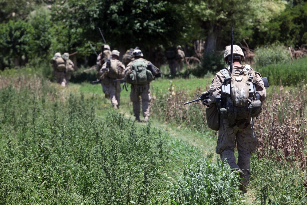 Operation Ox Bow