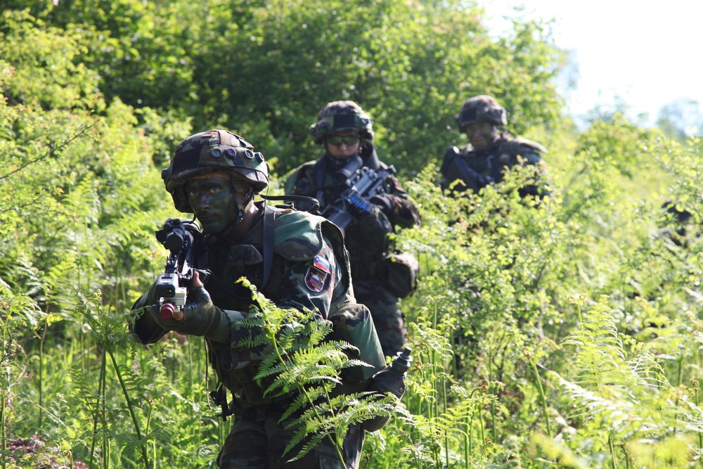 Immediate Response 2012