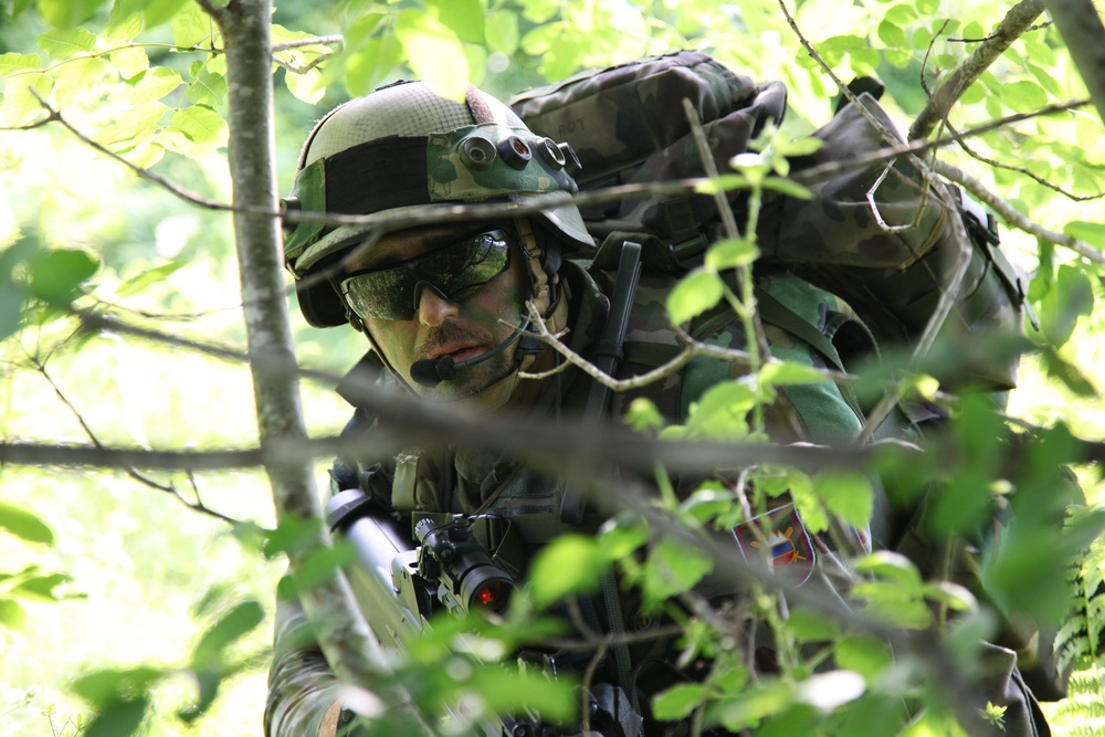 Immediate Response 2012