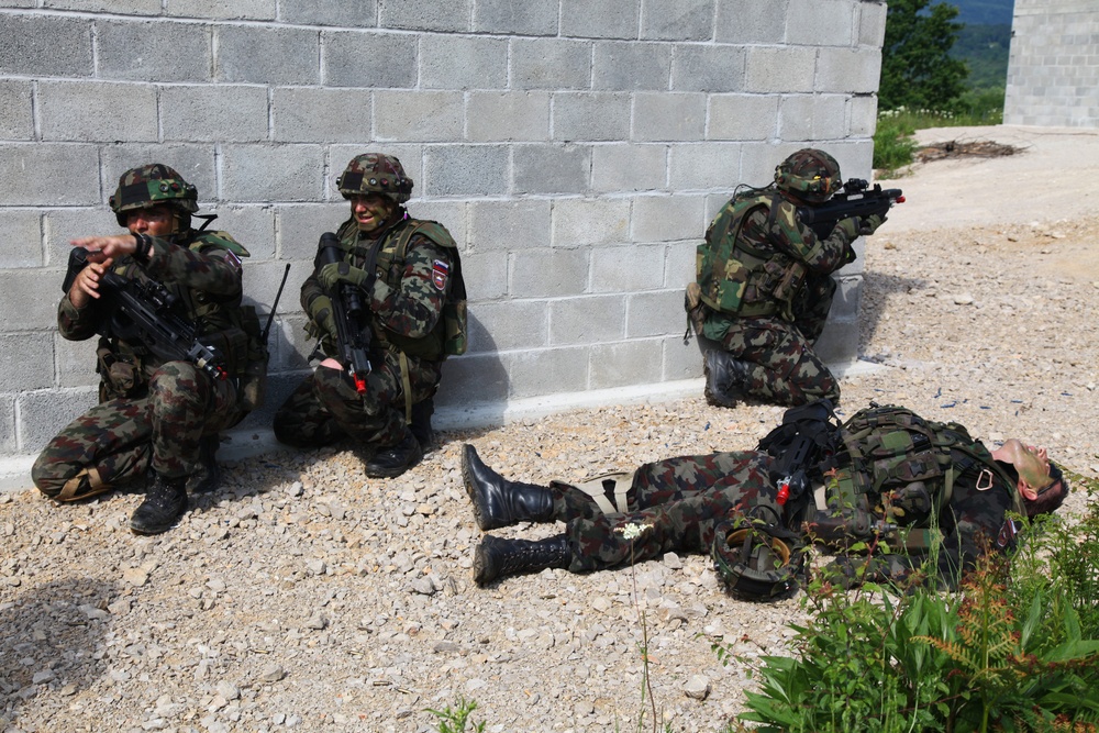 Immediate Response 2012