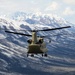 CH-47F Chinook PEO AVN