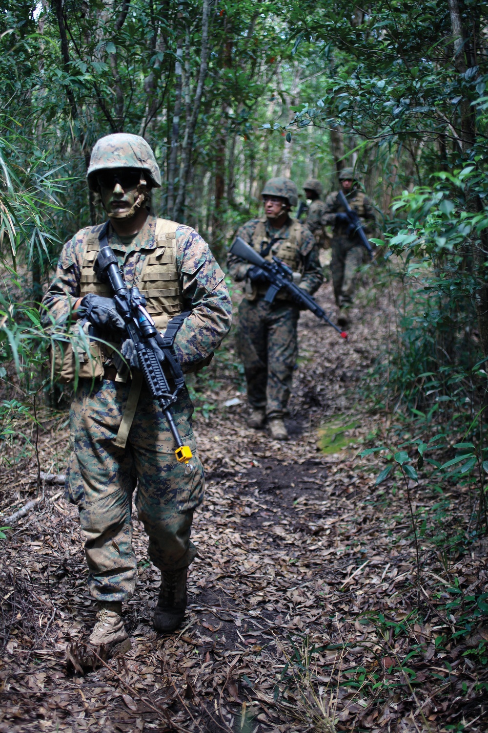 3rd Radio Bn. Marines conduct jungle training