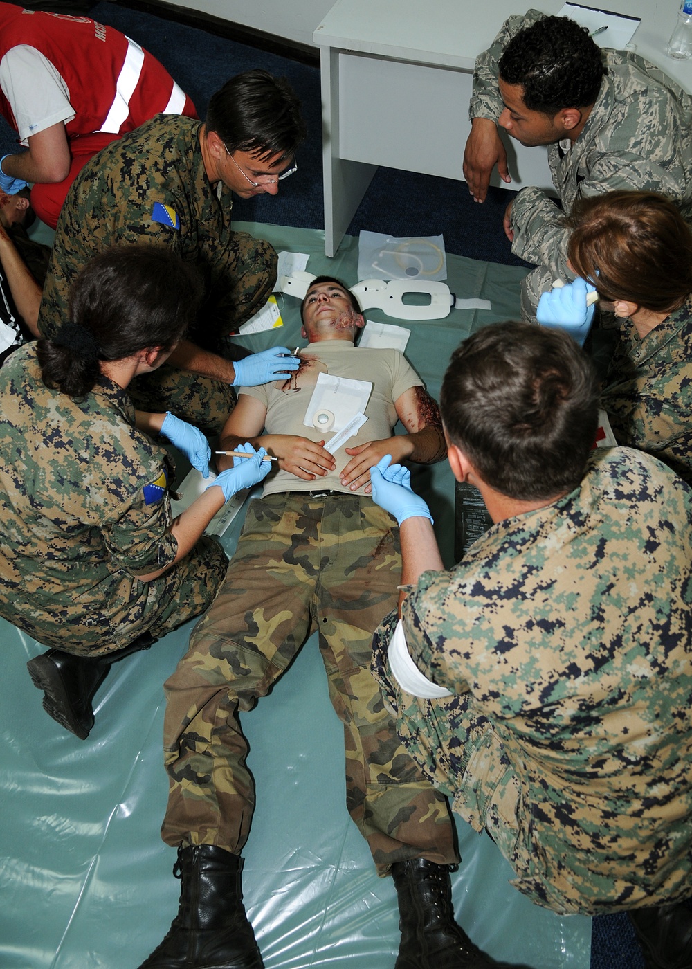 Exercise melds Bosnian-Herzegovinian military, civilian medical communities