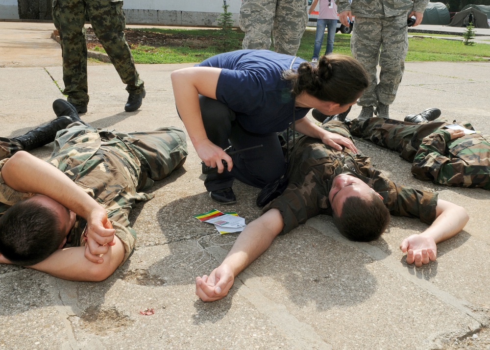 Exercise melds Bosnian-Herzegovinian military, civilian medical communities