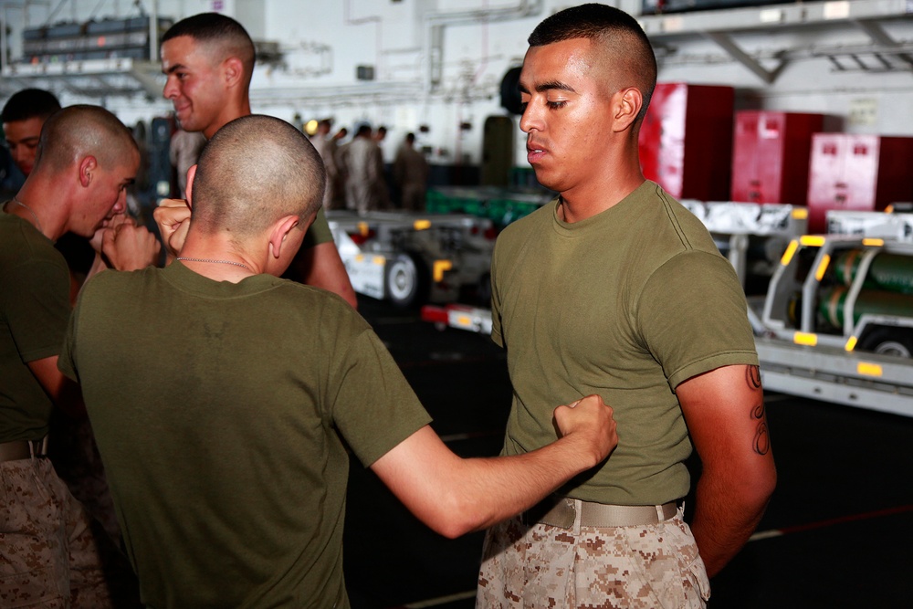 Kilo 3/5 conducts martial arts sustainment training