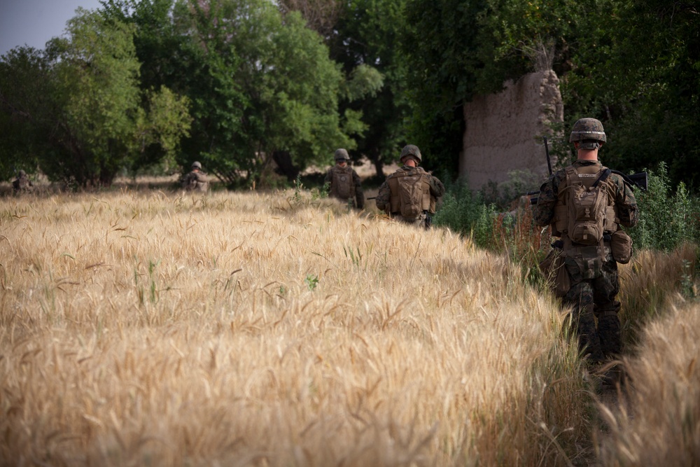 1/7 Marines Patrol in Sangin