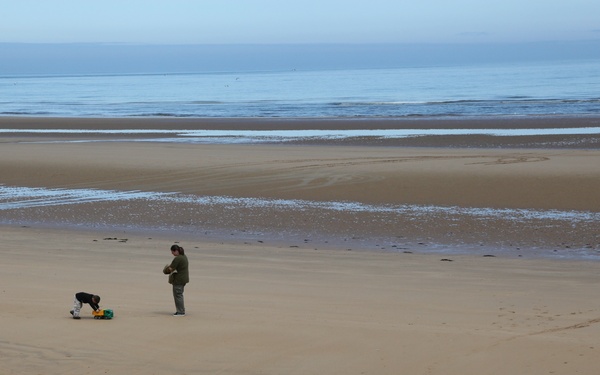 Operation Normandy 2012