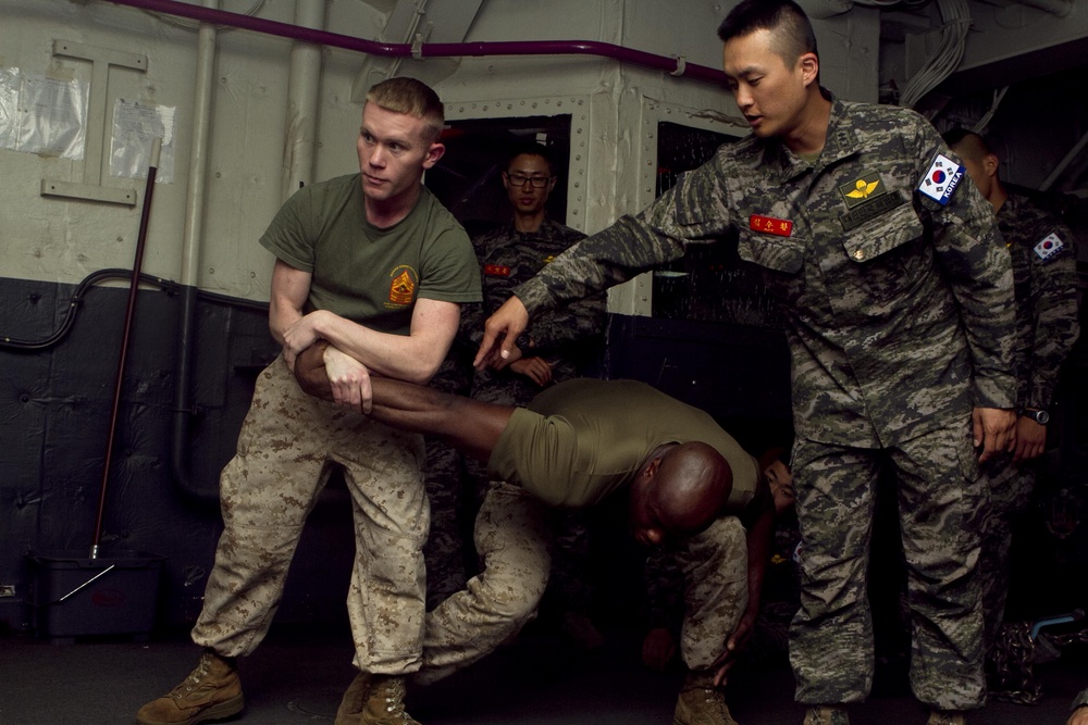 US, Korean Marines practice martial arts techniques