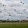 USACAPOC(A) remembers D-Day USACAPOC(A) remembers D-Day