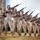 3rd Marine Regiment honors 116 fallen heroes with memorial run