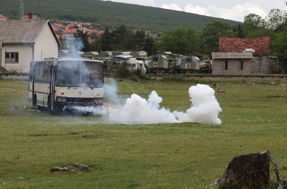 Shared Resilience 12