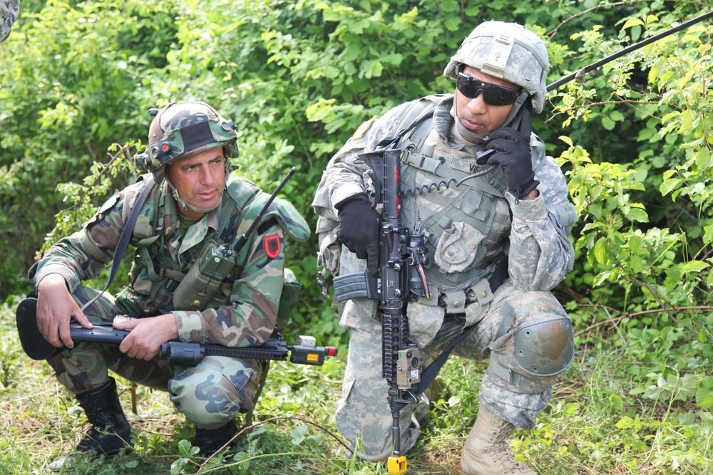 Immediate Response 2012