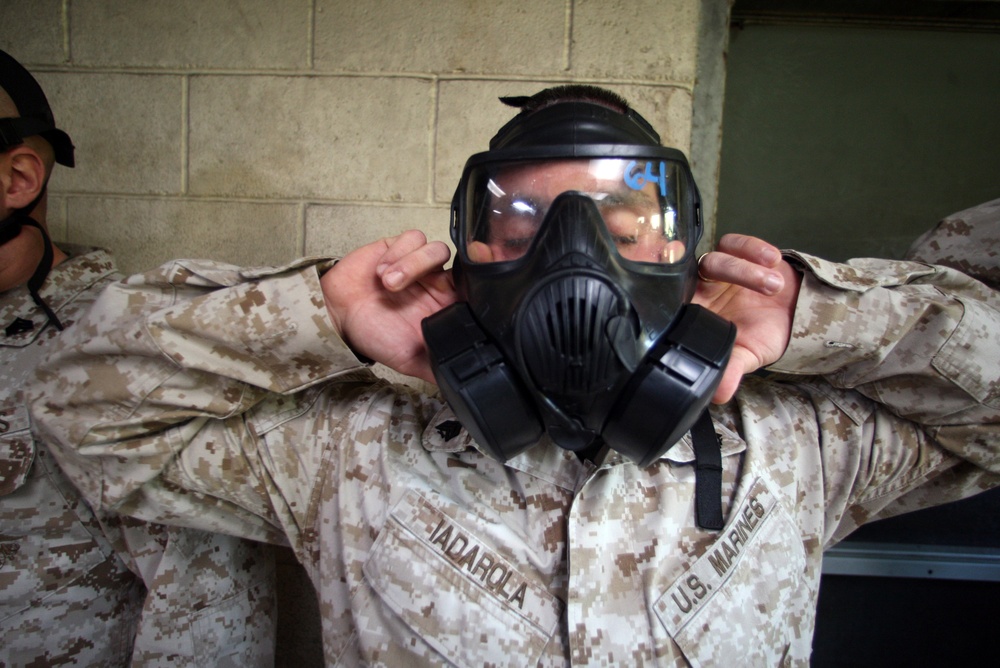 Gas chamber