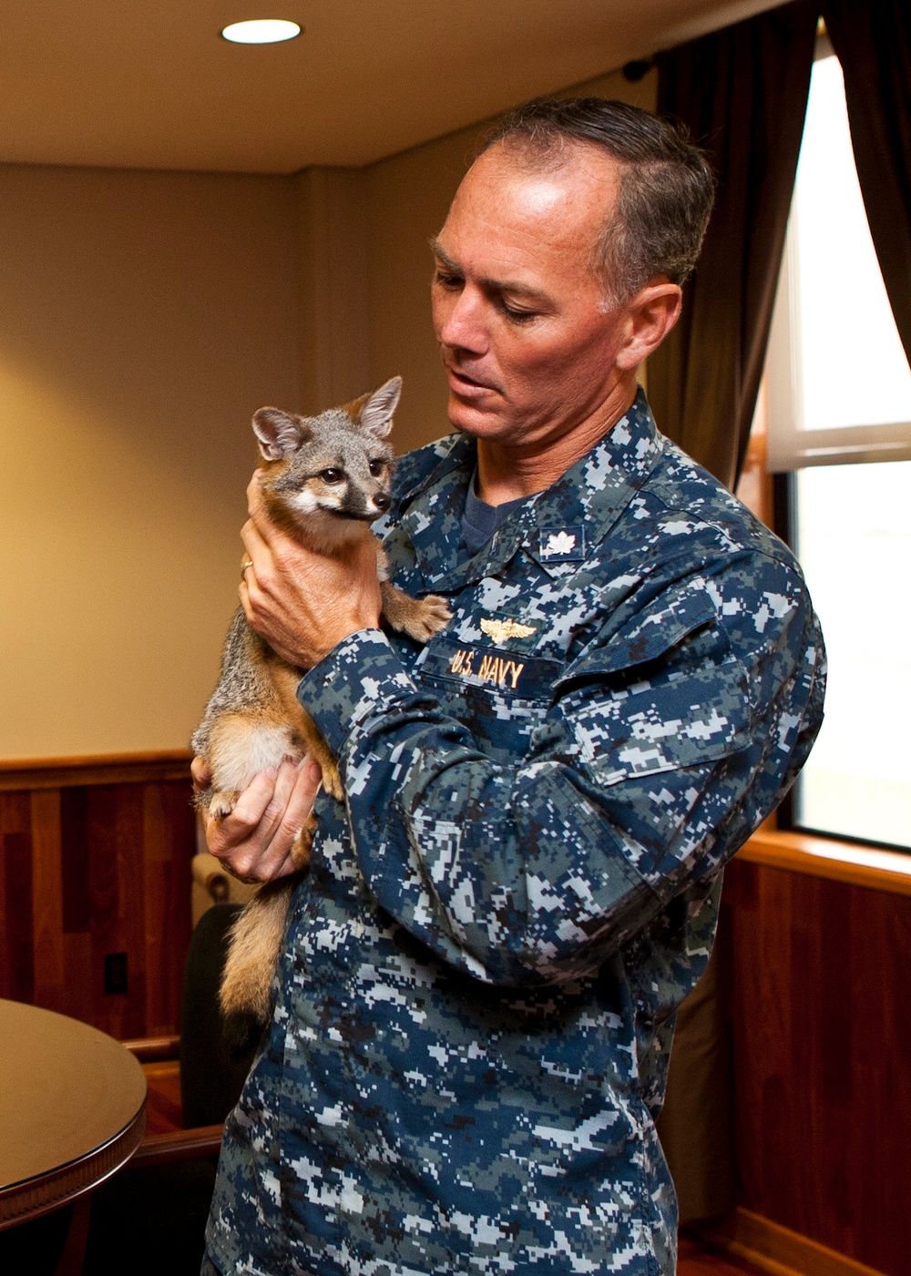 San Clemente Island officer holds fox pup
