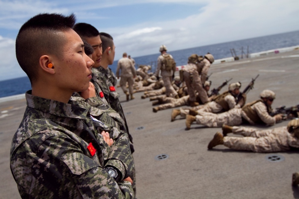 U.S., Korean Marines attend live-fire training
