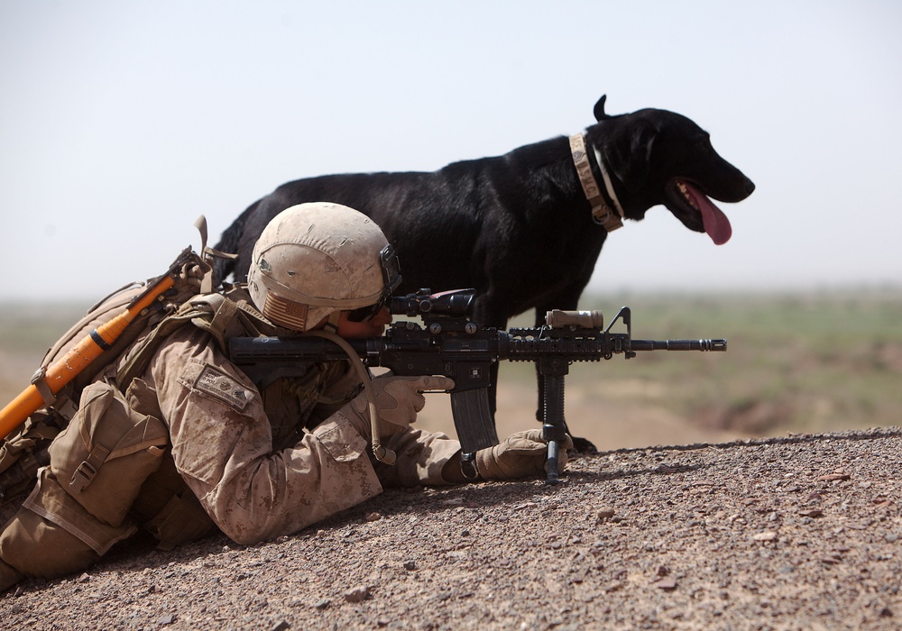 Belleau Wood Marines reunite on Afghan battlefield