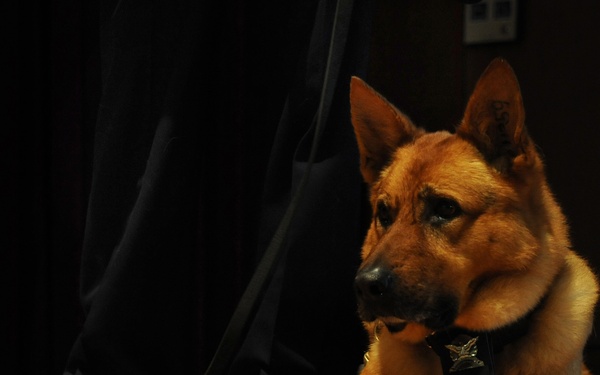 628th SFS remembers one of their own