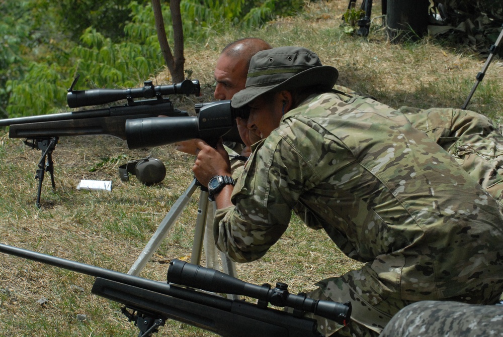 Fuerzas Comando 2012 sniper field shoot