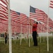 Voinovich Park Memorial