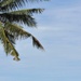 Pacific Partnership 2012 in Indonesia