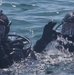 Marines participate in training dive