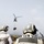 24th MEU deployment 2012