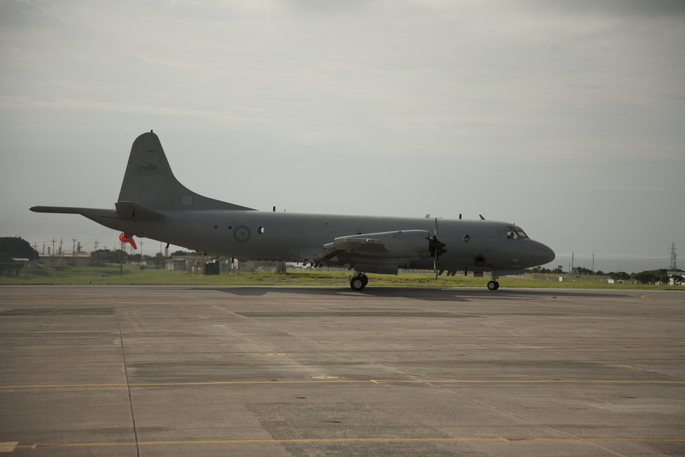 Nichi Gou Trident 2012