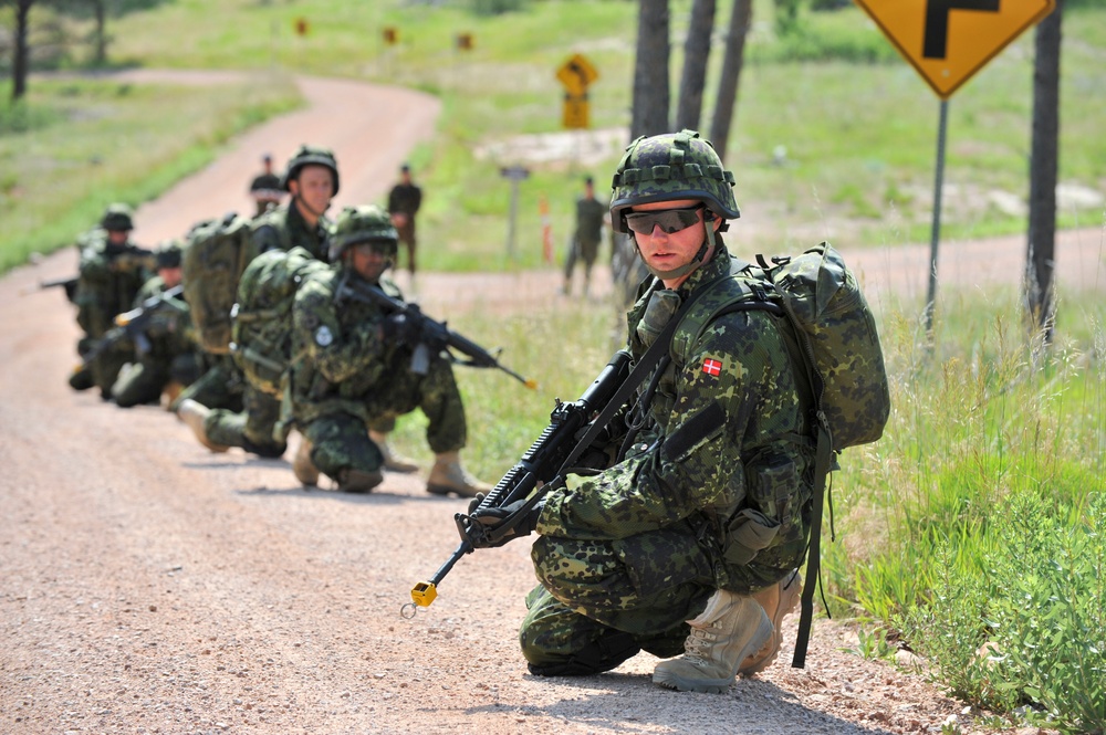 Danish Home Guard participates in Golden Coyote exercise for first time