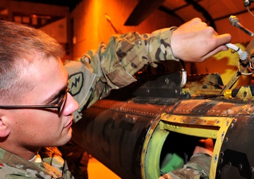 Armament Dawgs