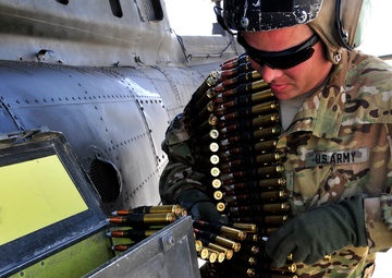 Armament Dawgs